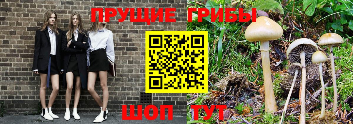 Галлюциногенные грибы Cubensis Дмитров